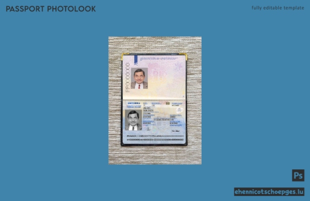 Beispielansicht für ein Passfoto für Andorra